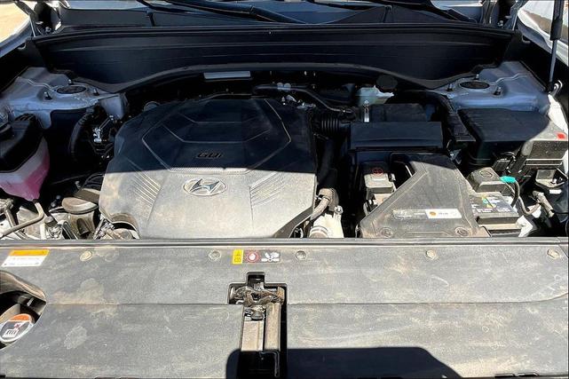 Photo of 2025 Typhoon Silver Hyundai PALISADE