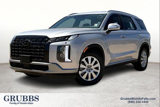 Photo of 2025 Typhoon Silver Hyundai PALISADE