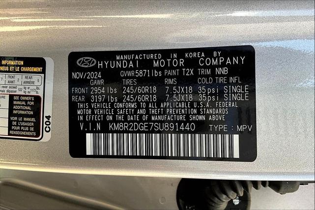 Photo of 2025 Typhoon Silver Hyundai PALISADE
