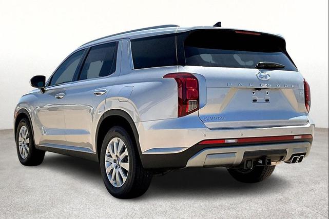 Photo of 2025 Typhoon Silver Hyundai PALISADE