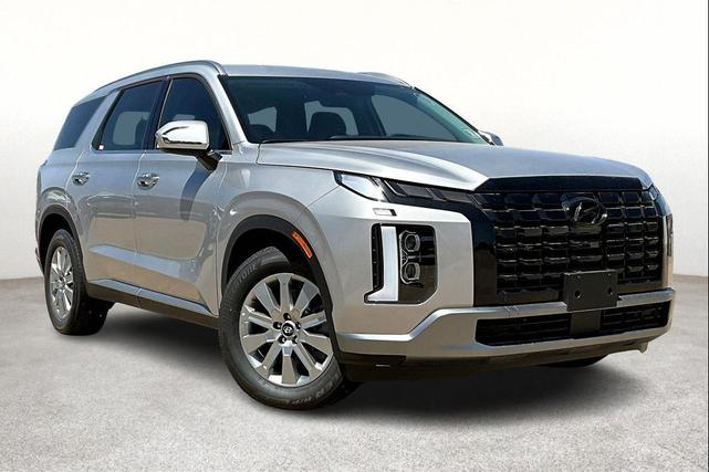 Photo of 2025 Typhoon Silver Hyundai PALISADE