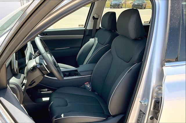Photo of 2025 Typhoon Silver Hyundai PALISADE