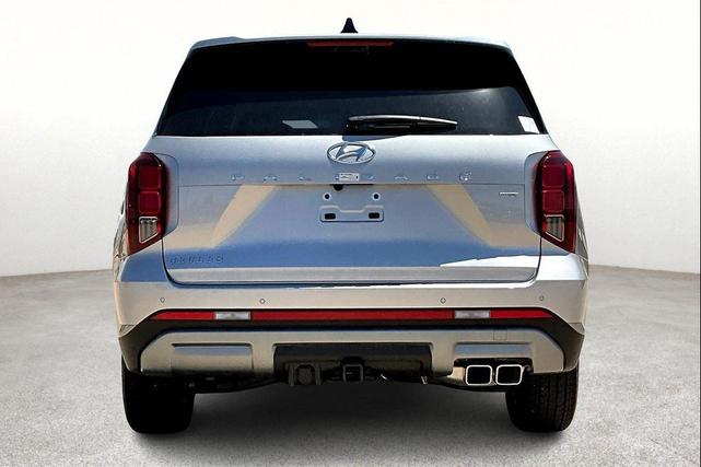 Photo of 2025 Typhoon Silver Hyundai PALISADE