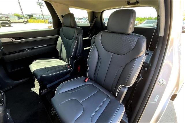 Photo of 2025 Typhoon Silver Hyundai PALISADE