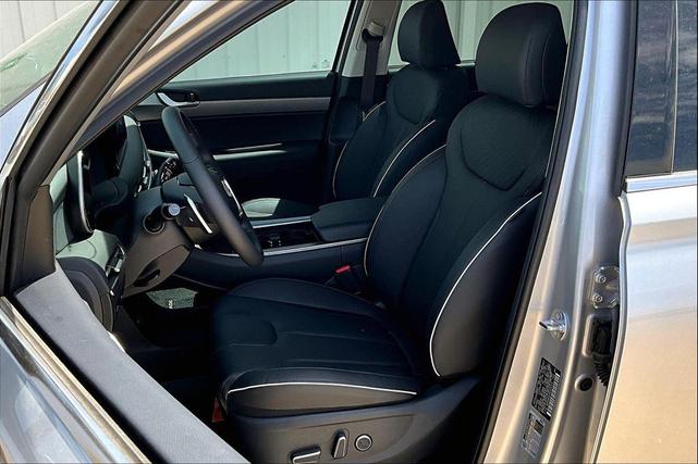 Photo of 2025 Typhoon Silver Hyundai PALISADE