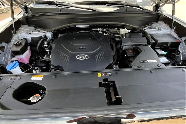 Photo of 2025 Typhoon Silver Hyundai PALISADE