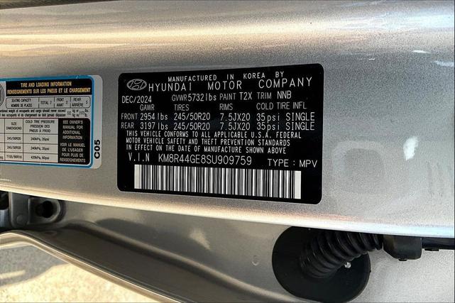 Photo of 2025 Typhoon Silver Hyundai PALISADE