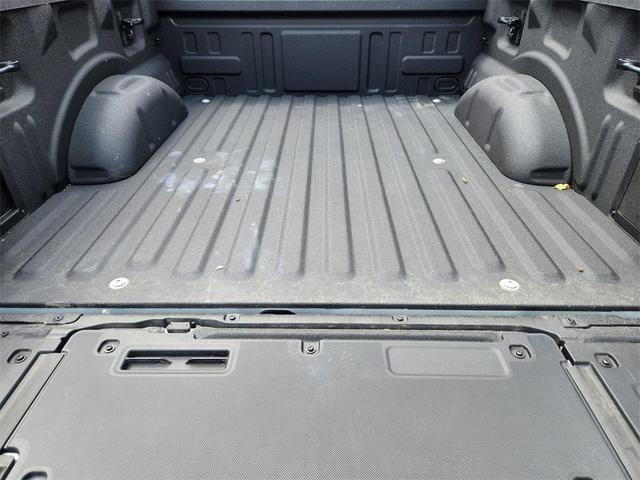 Photo of 2024 Avalanche Gray Ford F-150