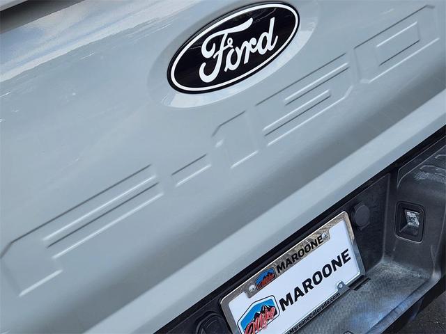 Photo of 2024 Avalanche Gray Ford F-150