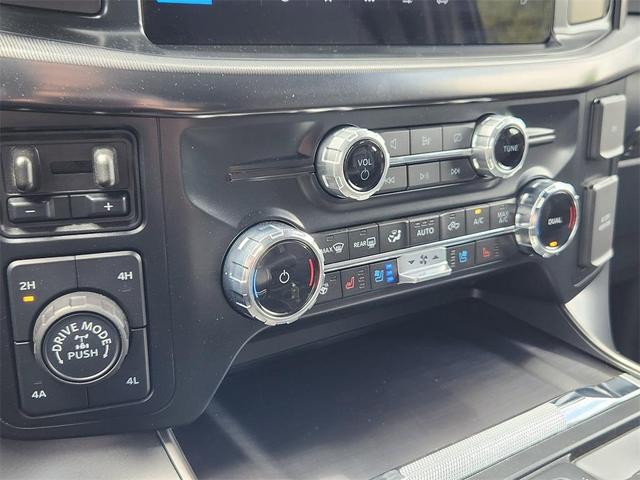 Photo of 2024 Avalanche Gray Ford F-150