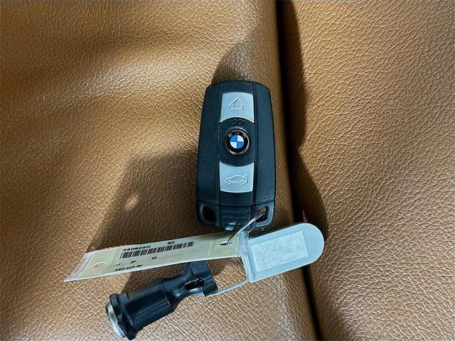 Photo of 2011 Red Metallic BMW X6