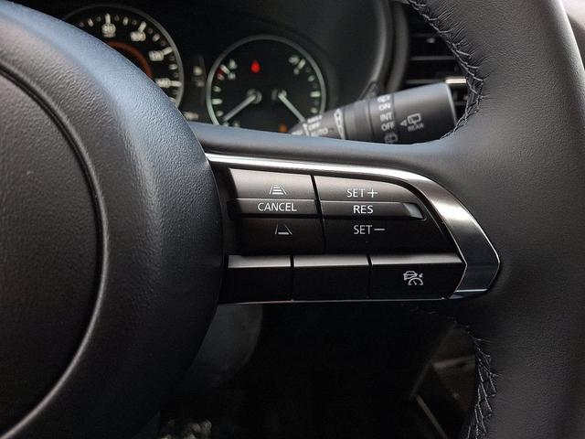 Photo of 2025 Polymetal Gray Metallic Mazda CX-30