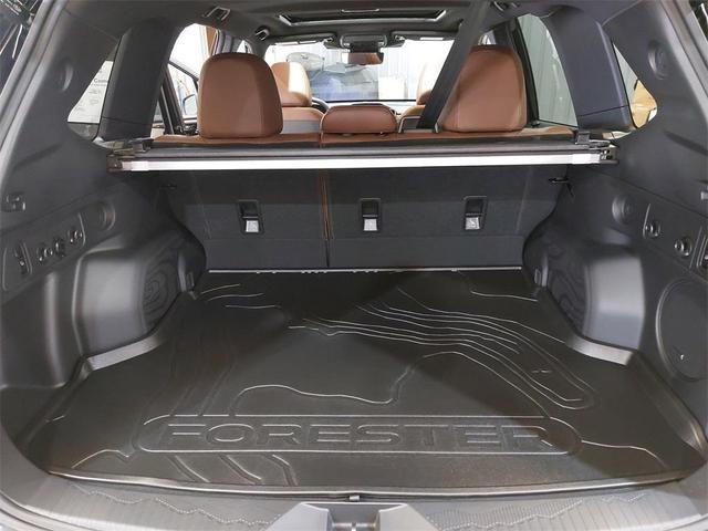 Photo of 2025 Crystal Black Silica Subaru Forester