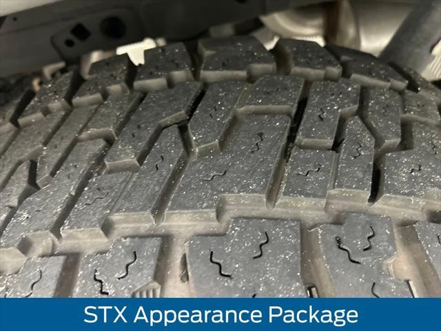 Photo of 2021 Lead Foot Ford F-150