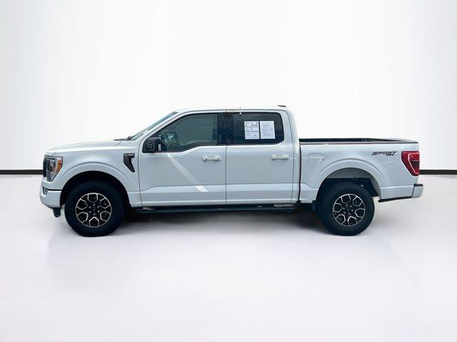 Photo of 2023 OXFORD WHITE Ford F-150