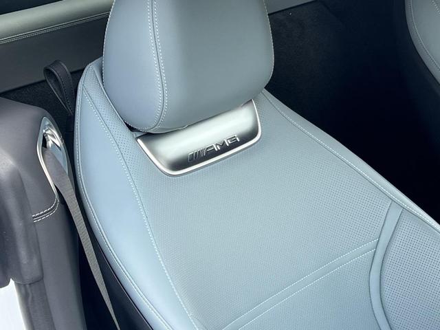 Photo of 2024 MANUFAKTUR Moonlight White Metallic Mercedes-Benz AMG GT 63