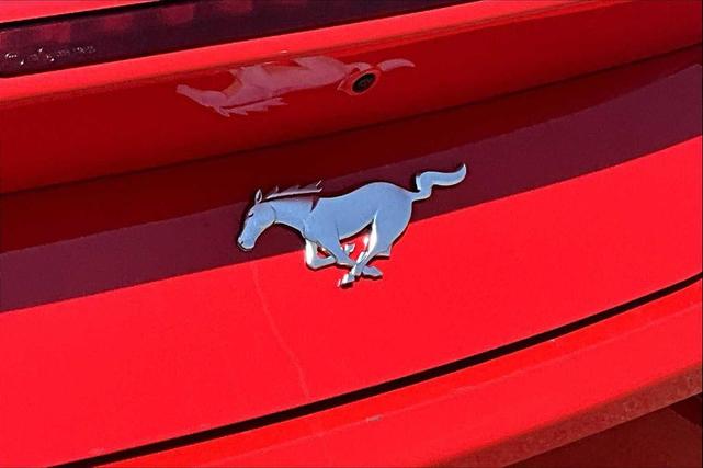 Photo of 2024 Race Red Ford Mustang