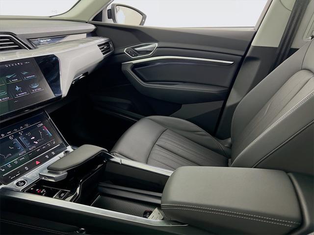 Photo of 2022 Glacier White Audi e-tron