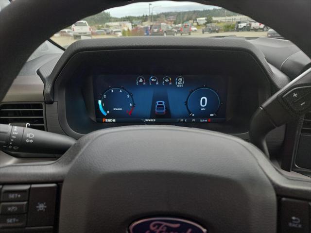 Photo of 2025 Oxford White Ford F-150