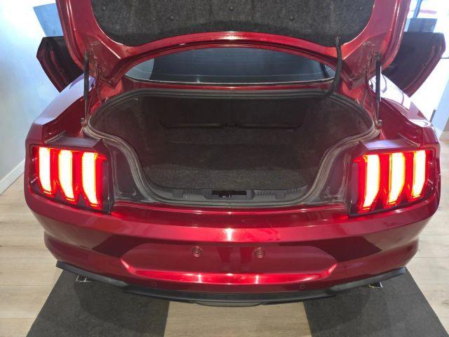 Photo of 2019 Burgundy Ford Mustang