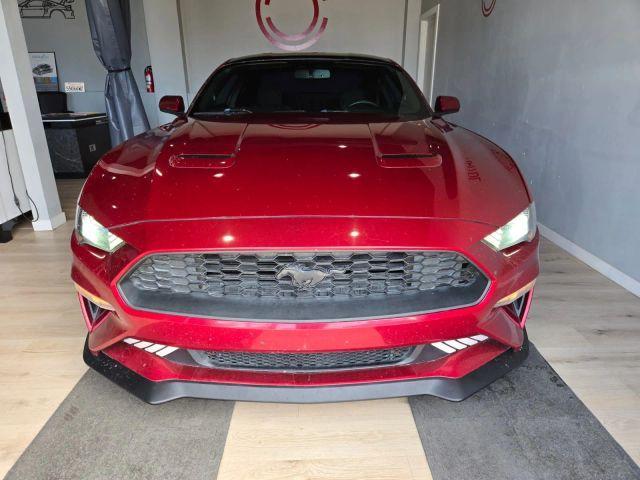 Photo of 2019 Burgundy Ford Mustang