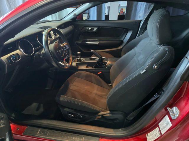 Photo of 2019 Burgundy Ford Mustang