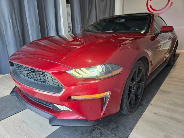Photo of 2019 Burgundy Ford Mustang