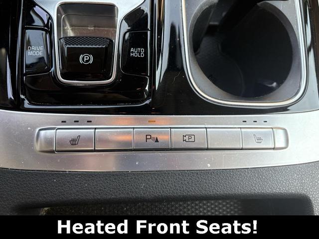 Photo of 2023 Panthera Metal Kia Carnival