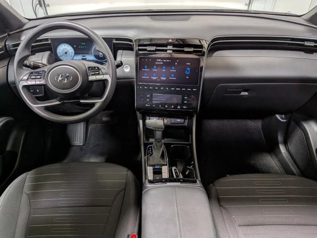 Photo of 2024 Sage Gray Hyundai SANTA CRUZ