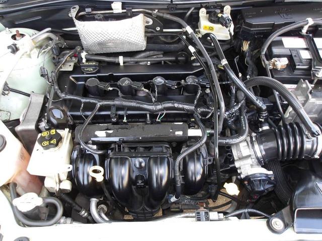 Photo of 2010 Green Ford Focus