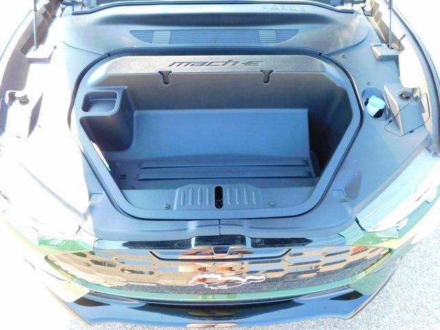 Photo of 2025 Eruption Green Metallic Ford Mustang Mach-E