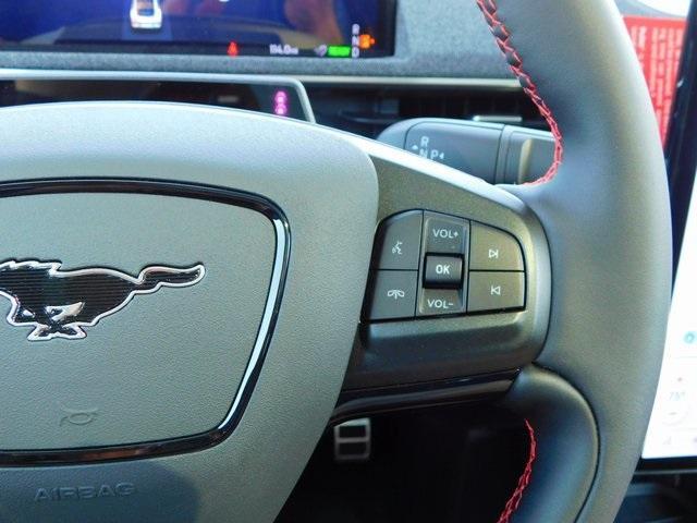 Photo of 2025 Eruption Green Metallic Ford Mustang Mach-E
