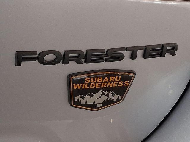 Photo of 2025 Ice Silver Subaru Forester
