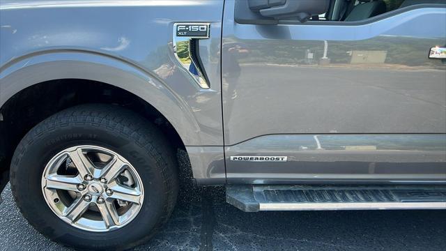 Photo of 2024 Gray Metallic Ford F-150