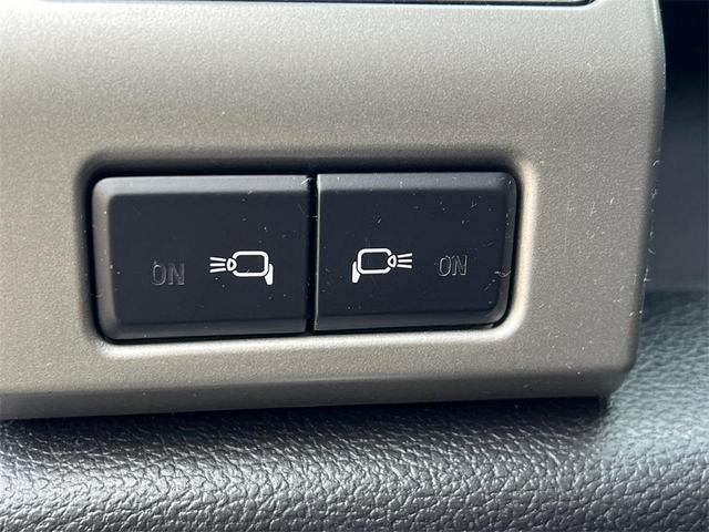 Photo of 2019 Magnetic Ford F-150