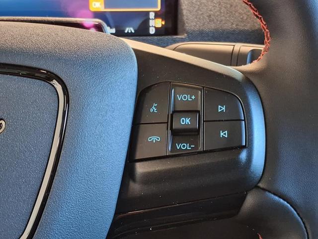 Photo of 2025 Shadow Black Ford Mustang Mach-E