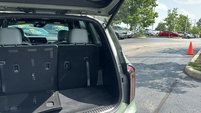 Photo of 2023 Jungle Green Kia Telluride