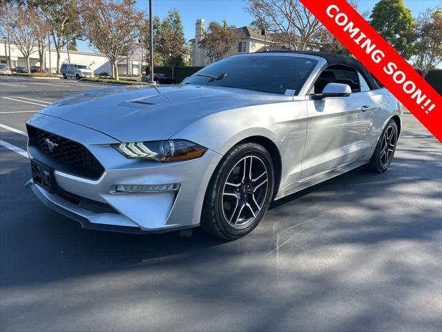 2019 Ford Mustang