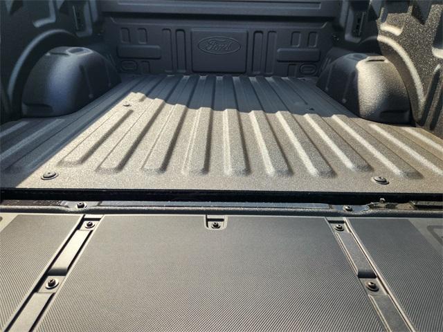 Photo of 2025 Agate Black Metallic Ford F-150