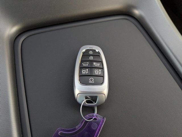 Photo of 2025 Abyss Black Pearl Hyundai PALISADE