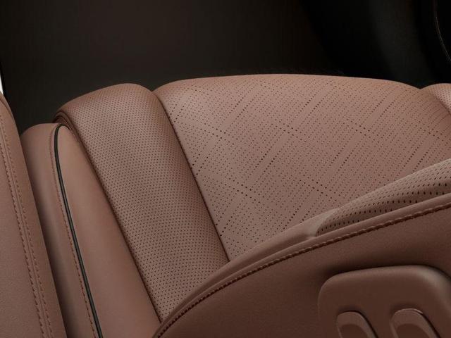Photo of 2025 Vik Black Genesis GV80