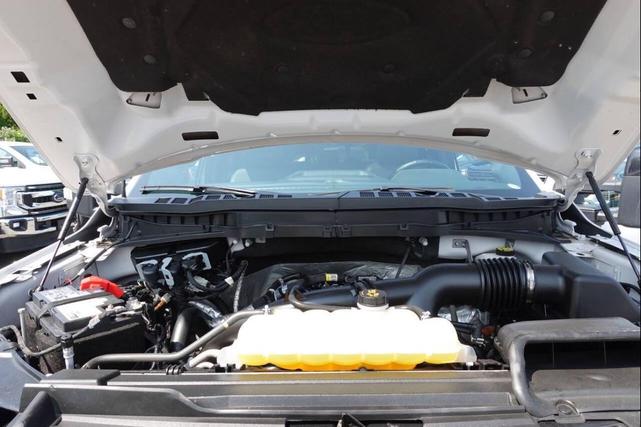 Photo of 2023 White Ford F-150