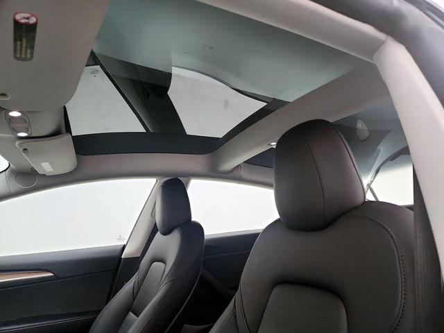 Photo of 2023 White Tesla Model 3