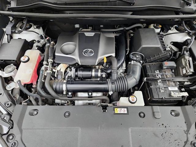 Photo of 2021 Pearl Lexus NX 300