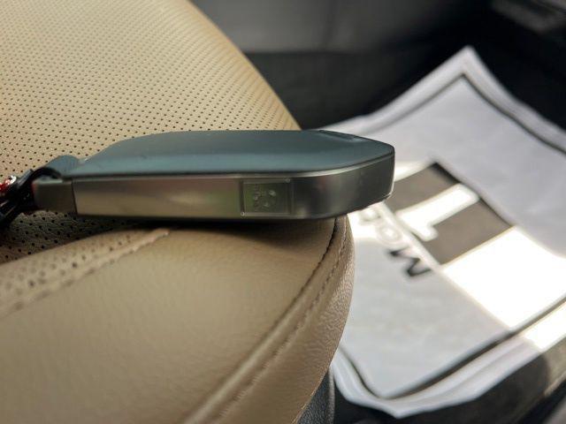 Photo of 2025 Jungle Green Kia Sorento