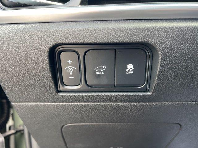 Photo of 2025 Jungle Green Kia Sorento