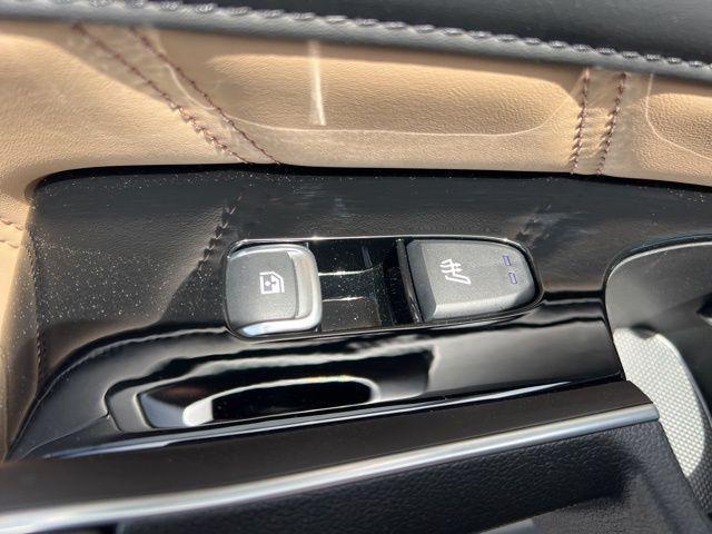Photo of 2025 Jungle Green Kia Sorento