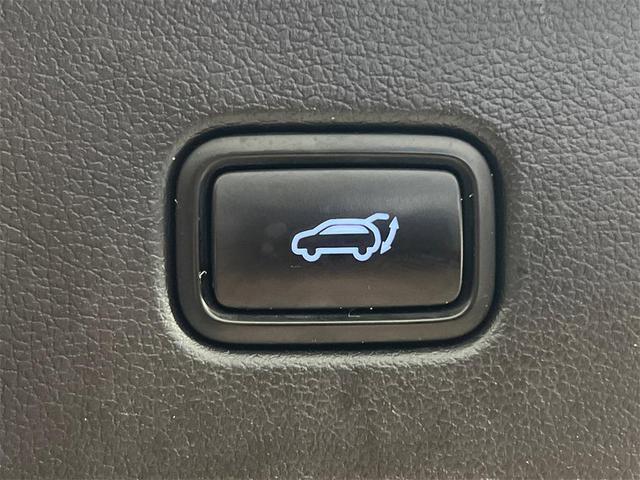 Photo of 2021 Rainforest Hyundai PALISADE