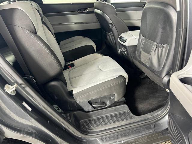 Photo of 2021 Rainforest Hyundai PALISADE
