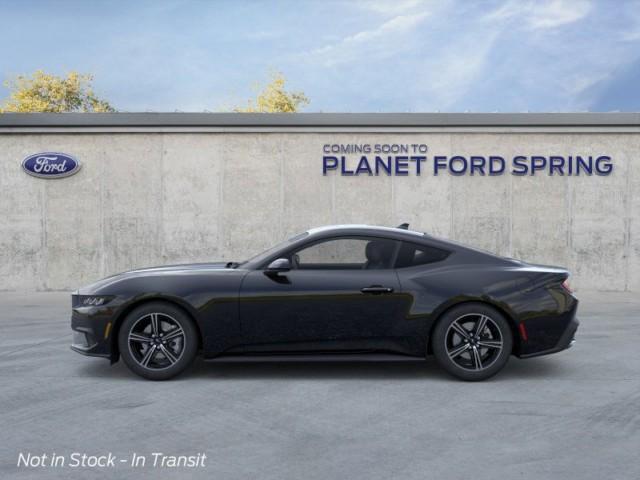 Photo of 2025 Shadow Black Ford Mustang